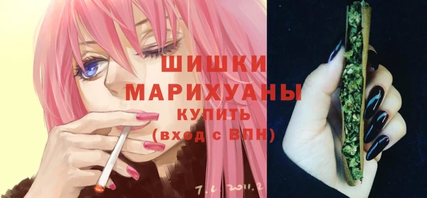 шишки Алексин